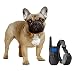 eXuby Shock Collar for Small Dogs with Remote - Includes 2 Collars - Small & Medium and Training Clicker - 3 Modes (Sound, Vibration & Shock) with Rechargeable Batteries