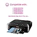 Precise Point Compatible Ink Cartridge Replacement for Canon PGI-270XL CLI-271XL (1 Large Black, 1 Small Black, 1 Cyan, 1 Yellow, 1 Magenta, 5-Pack)