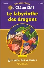 Le  labyrinthe des dragons