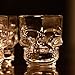 Circleware Skull Face Heavy Base Whiskey Shot Glasses, Set of 6 Party Home Entertainment Dining Beverage Drinking Glassware for Brandy, Liquor, Bar Decor, Jello Cups, 1.7 oz, Fun Shooters, 1.75 oz,
