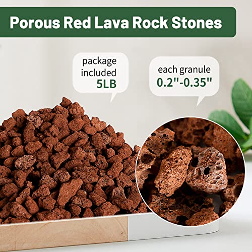 Red Lava Rock 5LB for Plants Garden Landscaping Decoration Aquarium Volcanic Horticultural Bonsai Terrarium Fish Tank Decorative Stone, Size from 0.25 to 0.35 Inches (Promo Code:20IFMZ18)