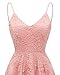 Bridesmay Women's V-Neck Adjustable Spaghetti Straps High Low Cocktail Party Bridesmaid Floral Lace Dress