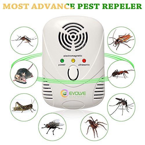 Evolve Ultrasonic/electromagnetic pest repeller - indoor plug-in pest control repellent with night light function Evolve Ultrasonic/electromagnetic pest repeller - indoor plug-in pest control repellent with night light function