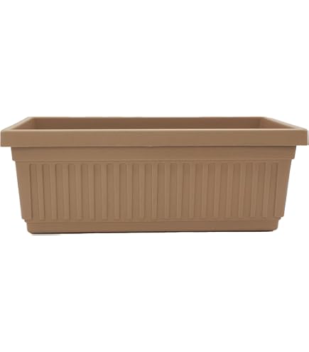 Amazon.com : Bloem Dayton Window Box Planter: 24" - Coral - 100% Recycled  Durable Plastic Box, Elevated Feet, for Indoor and Outdoor Use, Gardening,  5 Gallon Capacity : Patio, Lawn & Garden