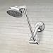 Waterpik Adjustable Rainfall+ Rain Shower Head, Chrome with Arm JP-140