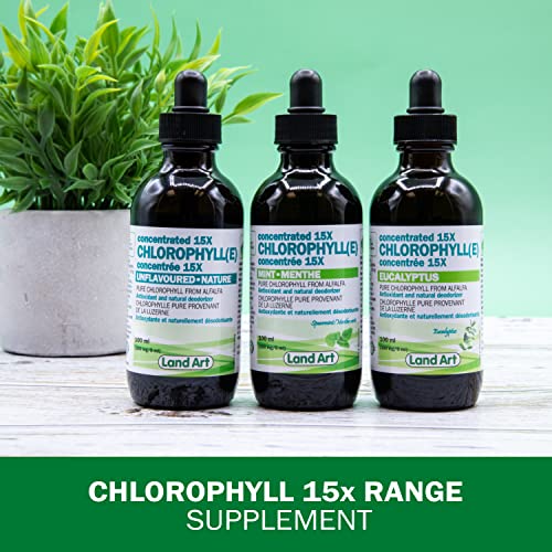 Liquid Chlorophyll Drops Mint 15X Concentrated 100ml - Detox - Alkaline - Natural Body Deodorant - Antioxidant - Cold Extracted from Non-GMO Alfalfa - Made in Canada