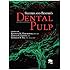 Seltzer and Bender's Dental Pulp
