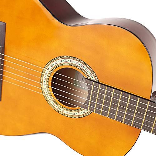 5 Strong+Wind+Classical+Beginner+Students