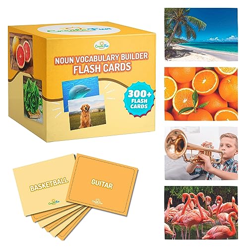 Noun Vocabulary Builder Flash Cards - Toddler Flash Cards for Speech ...