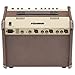 Fishman PRO-LBX-600 Loudbox Artist Acoustic Guitar Amp w/Amp Stand, Microphone w