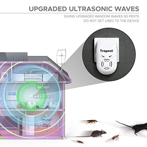 Aspectek 3-in-1 Ultrasonic Pest Repeller by Trapest - Electromagnetic Pest Control with Night Light - Plug-in, No Maintenance - Thumbnail 3