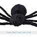 HOTSAN Giant Halloween Spider 50