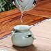 XDOBO Imported Vintage Chinese & Japanese Style Porcelain Handmade Kung Fu Tea Set, 10-pack (Green) (Green) (Green)