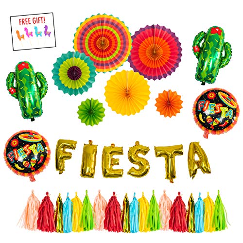 FIESTA PARTY Decorations Supplies kit Cactus decor foil Balloons