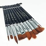 Paint Brushes Set the Professional Round Pointed Tip Nylon Hair Artist Paintbrushes Set for Acrylic Watercolor and Oil Painting (12 Pieces)