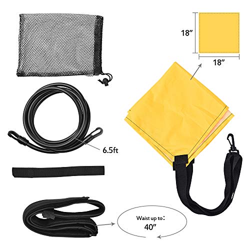 WOLFWILL Swim Resistance Belt - Strength Training Exerciser with Drag Parachute and Elastic Tether for Stationary Resistance Training/Endless Pool - Adult Kid Amateur Use