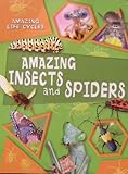 Paperback Amazing Insects and Spiders (Amazing Life Cycles) Book