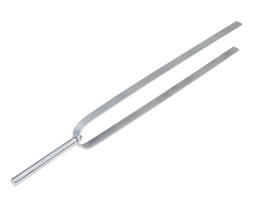 3B Scientific U55001 Demonstration Tuning Fork