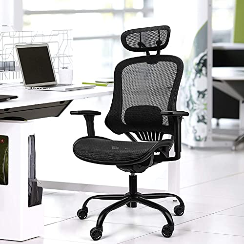 Ergousit Ergonomic Mesh Office Chair, High Back Desk Chair with Adjustable Height, Backrest and