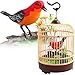 Liberty Imports Singing and Chirping Bird Toy in Cage - Realistic Sounds and Movements - Sound Activated primary