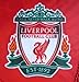 LIVERPOOL FC BADGE LOGO FOOTBALL SOCCER TRIANGLE PENNANT BANNER