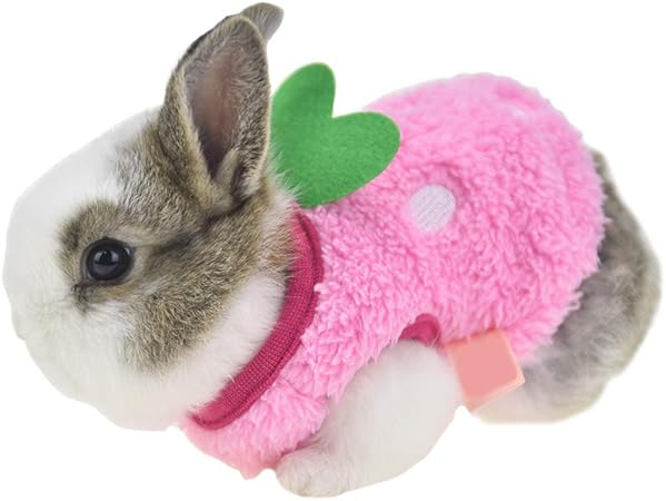 rabbit christmas outfits