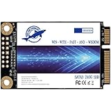 Dogfish Msata 240GB Internal Solid State Drive Mini Sata SSD Disk