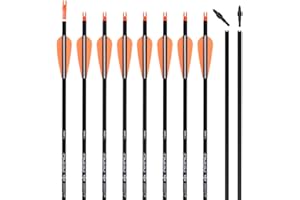 Carbon Arrow Practice Hunting Arrows with Removable Tips for Archery Compound & Recurve & Traditional Bow (Pack of 12)