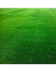 Semillas de césped | Amazon.es