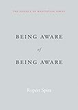 Being Aware of Being Aware (The Essence of Meditation Series)