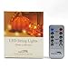 Fall String Lights Harvest Decoraions - 10ft 40LEDs Smooth Surface Pumpkin Themed Fairy Lights with Remote & Timer Flicker Mode Ideas for House, Wedding, Cosplay, Birthday, Bedroom, Porch Decor