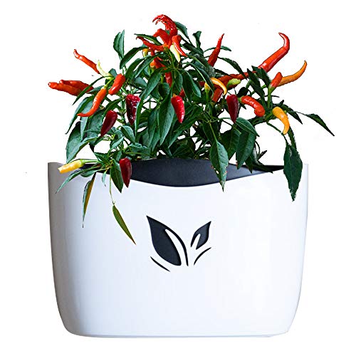 Wall Mounted Planter Pots for Herbs, Flowers | Succulent Planter Pots | no Drills, no Screws, no Hanging | Succulent Wall Planter | Self Watering, Low Maintenance (White) - Thumbnail 4