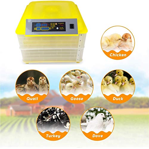 CHICTI Inkubator Vollautomatisch Brutautomat Mit Temperaturregelung Brutkasten Brutmaschine Hühner for Ente Gans Taube… – Bild 4