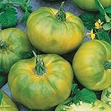Chef’s Choice Green Hybrid Tomato Seeds