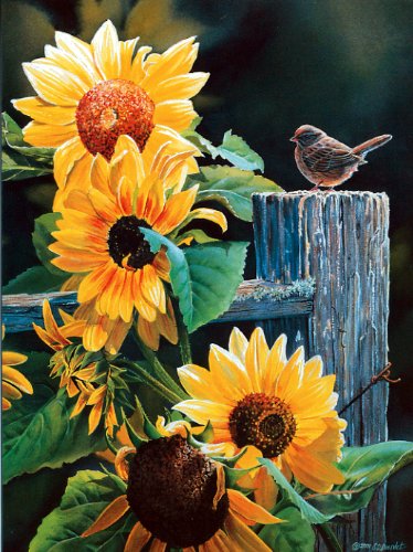Susan Bourdet's Songbirds - Blank Card Set by Leanin' Tree (AST90634) - 20 cards with full-color interiors and 22 designed envelopes - Thumbnail 5