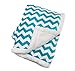 Chanasya Super Soft Ultra Plush Cozy Fluffy Warm Chevron Print Modern Contemperary Design Velvet Fleece Front and Fuzzy Sherpa Back Microfiber Throw Blanket (60