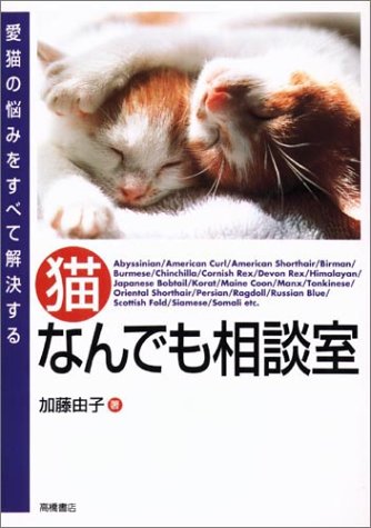 猫なんでも相談室 愛猫の悩みをすべて解決する Question Answer 加藤 由子 本 通販 Amazon