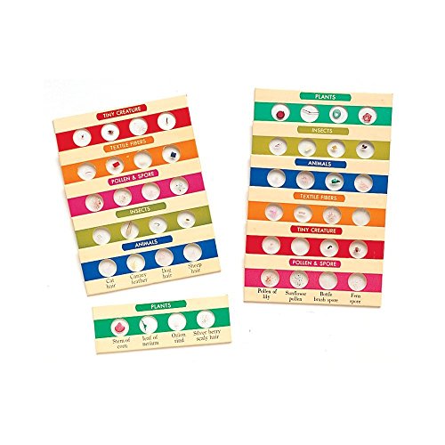 Learning Resources Prepared Slides Combo Set, 48 Specimens Pricepulse