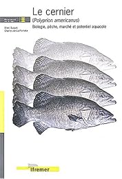 Le  cernier (Polyprion americanus)