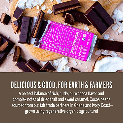 Dr. Bronner's Magic AllOne Chocolate Smooth Coconut Praline Bar