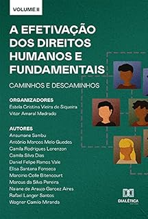 Livro A efetivação dos Direitos Humanos e Fundamentais: caminhos e descaminhos: Volume 2