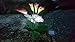 Solar Calla Lily, Solar Lights, Decorative Garden Lights