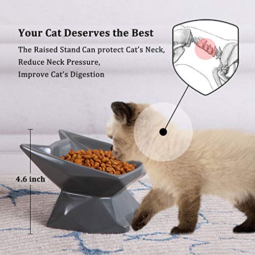 Jemirry Ceramic Raised Cat Bowl Anti Vomiting,Elevated Cat Bowls with