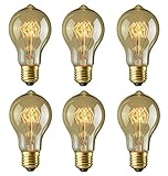 Rolay 30W Vintage Edison Light Bulbs with Squirrel Cage Filament, 170 Lumens, 6 Pack