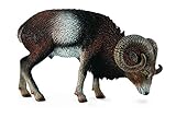 Collect A Wild Life European Mouflon Toy Figure