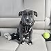 EzyDog Chest Plate No Pull Dog Harness – Escape Proof Harness with Reflective Stitching and Comfort Padding for Easy Walks, Training & Control - Car Restraint Included (Large, Black)