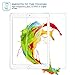SENGBIRCH Glass Screen Protector, New iPad 9.7 2017/2018, iPad air 1/2, iPad pro 9.7/10.5/11 Tempered Glass Screen Protector (9.7 inch)