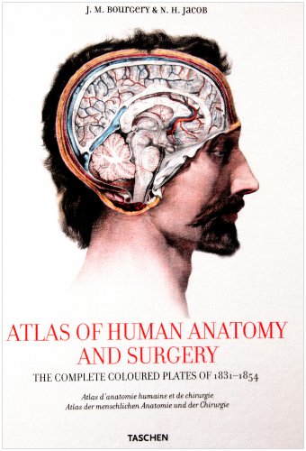 Atlas of Human Anatomy and Surgery by Jean-Marie Le Minor, Henri Sick