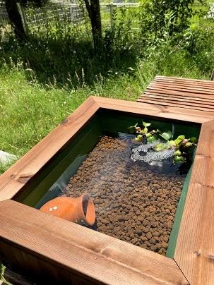 Amazon はじめてのビオトープセット 木枠 プラ舟 アクアリウム 金魚 睡蓮 メダカ ベランダ 水草 40ℓ 黒 ノーブランド品 水交換用具 通販