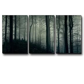 Three Piece Canvas - Dark Tree Forest in a Foggy Night on 3 Panels - Canvas Art Home Art - 16x24 inches